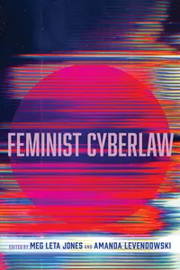 Feminist Cyberlaw_cover