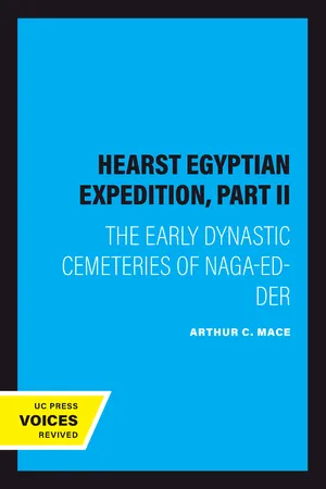 Hearst Egyptian Expedition, Part II