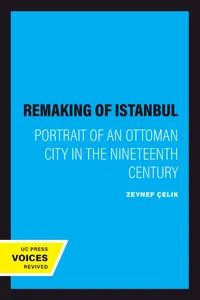 The Remaking of Istanbul_cover