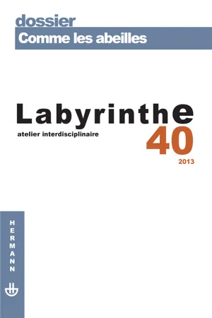 Labyrinthe 40