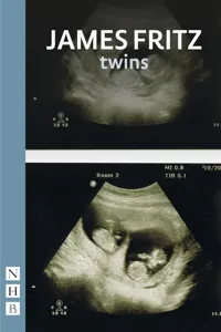 twins_cover