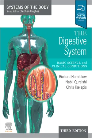 The Digestive System - EBook