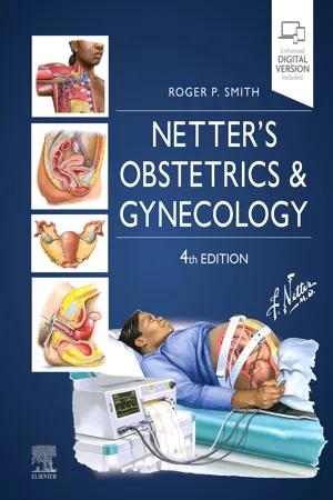 Netter's Obstetrics and Gynecology E-Book