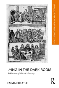 Lying in the Dark Room_cover