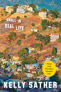 Small in Real Life_cover