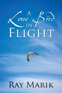 A Lone Bird in Flight_cover