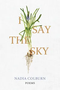 I Say the Sky_cover