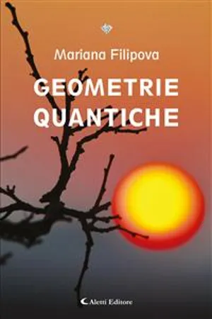 Geometrie quantiche