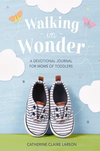 Walking in Wonder_cover