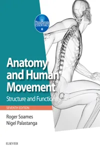 Anatomy and Human Movement E-Book_cover