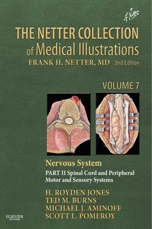 The Netter Collection of Medical Illustrations: Nervous System, Volume 7, Part II - Spinal Cord and Peripheral Motor and Sensory Systems