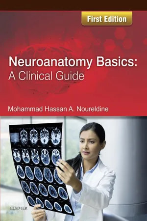 Neuroanatomy Basics: A Clinical Guide E-Book