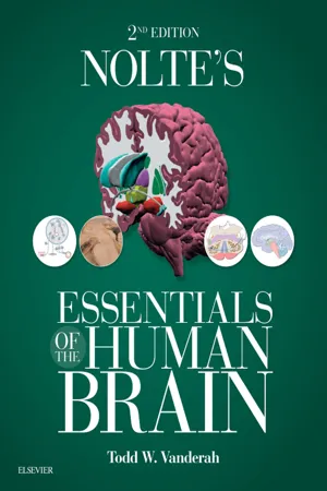 Nolte's Essentials of the Human Brain E-Book