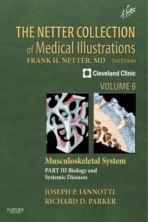 The Netter Collection of Medical Illustrations: Musculoskeletal System, Volume 6, Part III - Musculoskeletal Biology and Systematic Musculoskeletal Disease E-Book