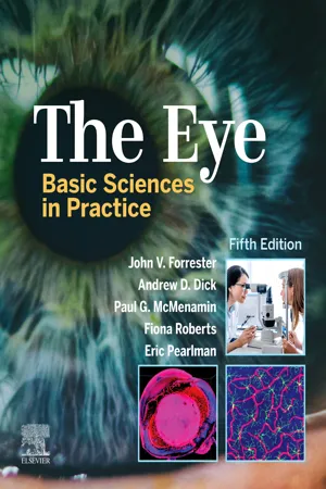 The Eye E-Book