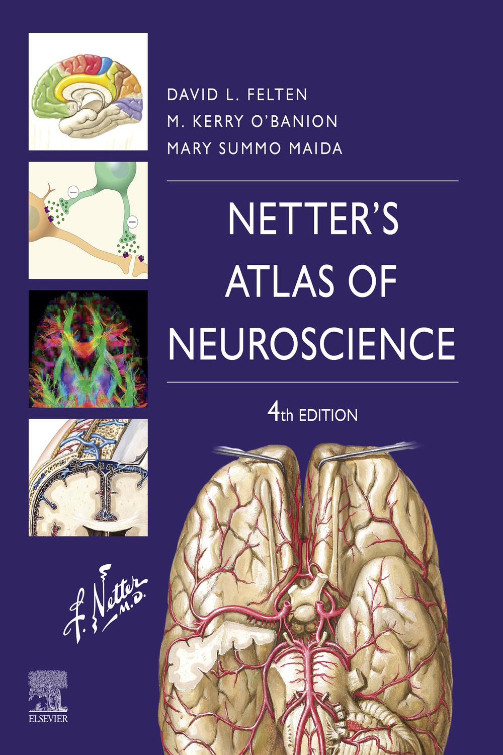 PDF] Netter's Atlas of Neuroscience E-Book by David L. Felten, 4th