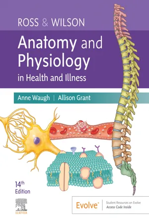 Ross & Wilson Anatomy and Physiology in Health and Illness - E-Book