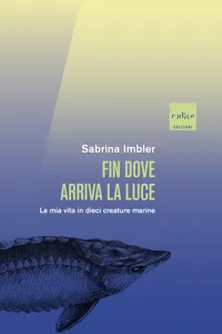 Fin dove arriva la luce_cover