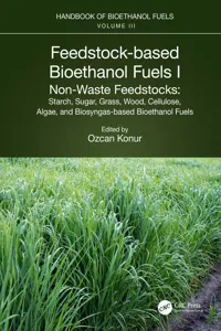 Feedstock-based Bioethanol Fuels. I. Non-Waste Feedstocks_cover