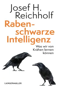 Rabenschwarze Intelligenz_cover