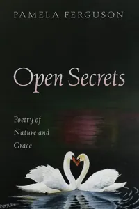 Open Secrets_cover