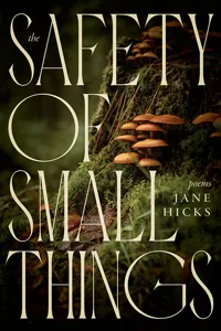 The Safety of Small Things_cover