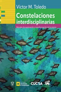 Constelaciones interdisciplinarias_cover