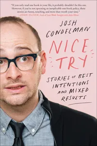 Nice Try_cover