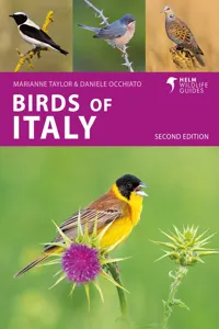 Birds of Italy_cover