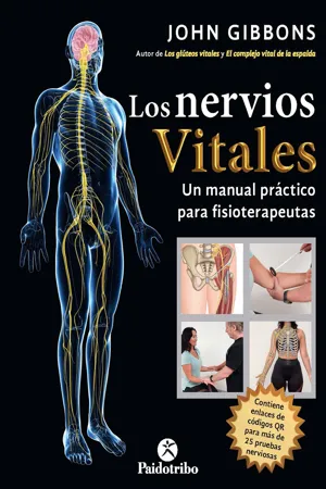 Los nervios vitales