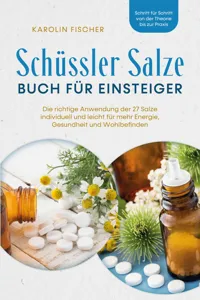 Schüssler Salze Buch für Einsteiger: Die richtige Anwendung der 27 Salze individuell und leicht für mehr Energie, Gesundheit und Wohlbefinden - Schritt für Schritt von der Theorie bis zur Praxis_cover