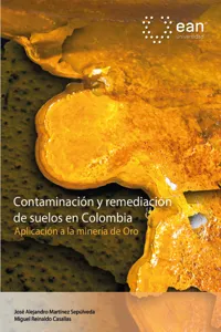 Contaminación y remediación de suelos en Colombia. Aplicación a la minería de oro_cover
