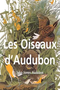 Les Oiseaux d'Audubon
