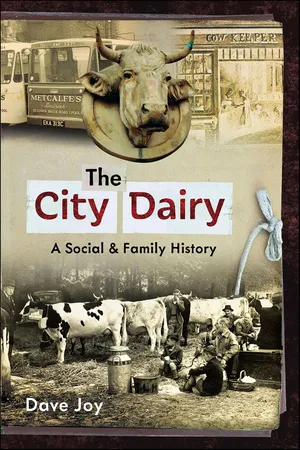 The City Dairy