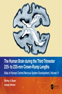 The Human Brain during the Third Trimester 225– to 235–mm Crown-Rump Lengths_cover