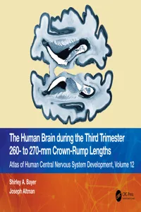 The Human Brain during the Third Trimester 260– to 270–mm Crown-Rump Lengths_cover