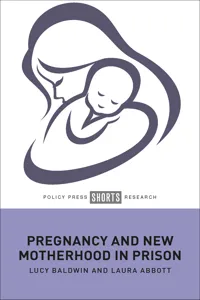 Pregnancy and New Motherhood in Prison_cover