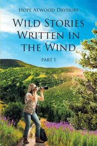 Wild Stories Written in the Wind_cover
