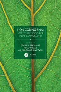 Non-Coding RNAs_cover