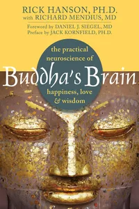 Buddha's Brain_cover