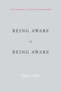 Being Aware of Being Aware_cover