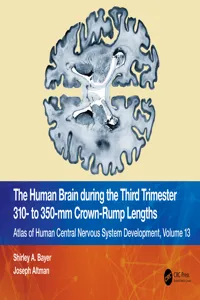 The Human Brain during the Third Trimester 310– to 350–mm Crown-Rump Lengths_cover