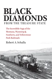 Black Diamonds from the Treasure State_cover