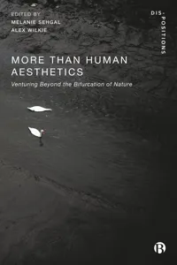 More-Than-Human Aesthetics_cover