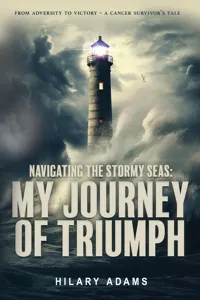 Navigating the Stormy Seas_cover