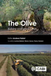 The Olive_cover