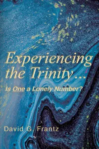 Experiencing the Trinity..._cover