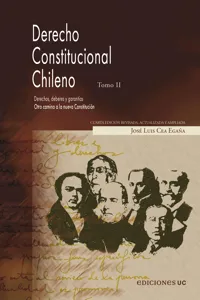 Derecho constitucional. Tomo II_cover