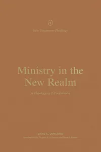 Ministry in the New Realm_cover