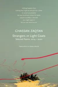 Strangers in Light Coats_cover